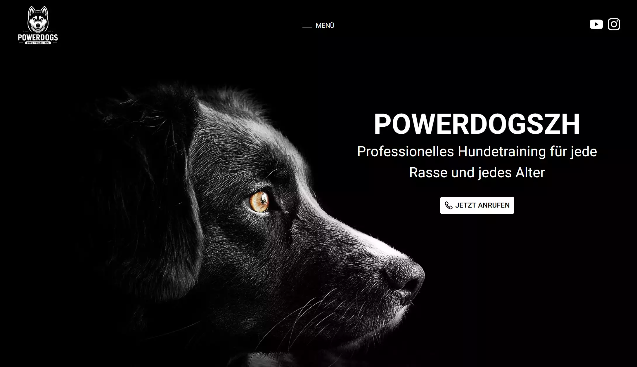 Nahaufnahme eines schwarzen Hundes Text über professionelles Hundetraining.