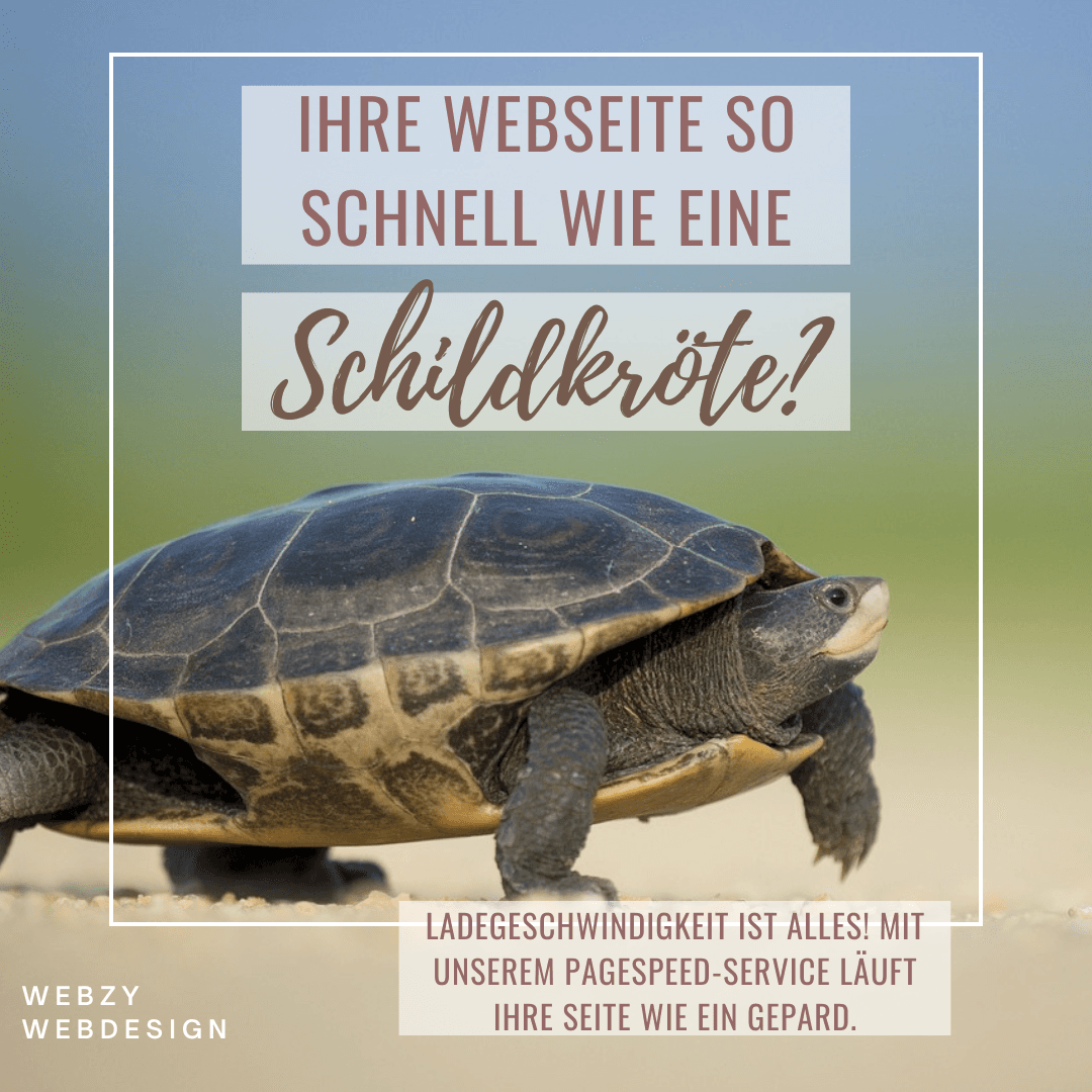 /Schildkröte mit Text über PageSpeed-Service von Webzy Webdesign.