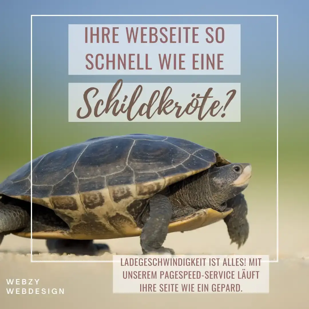 /Schildkröte mit Text über PageSpeed-Service von Webzy Webdesign.